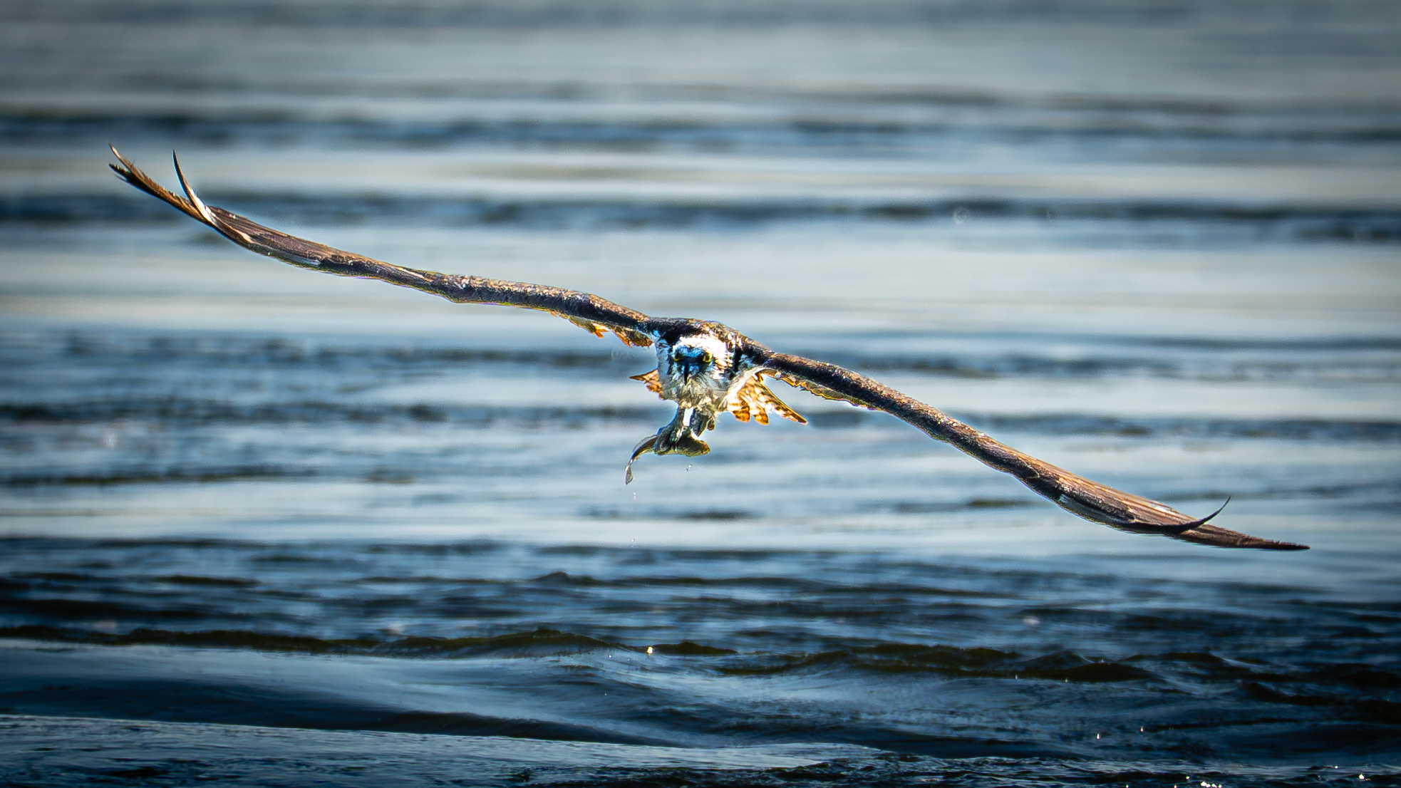 Delaware Seashore State Park