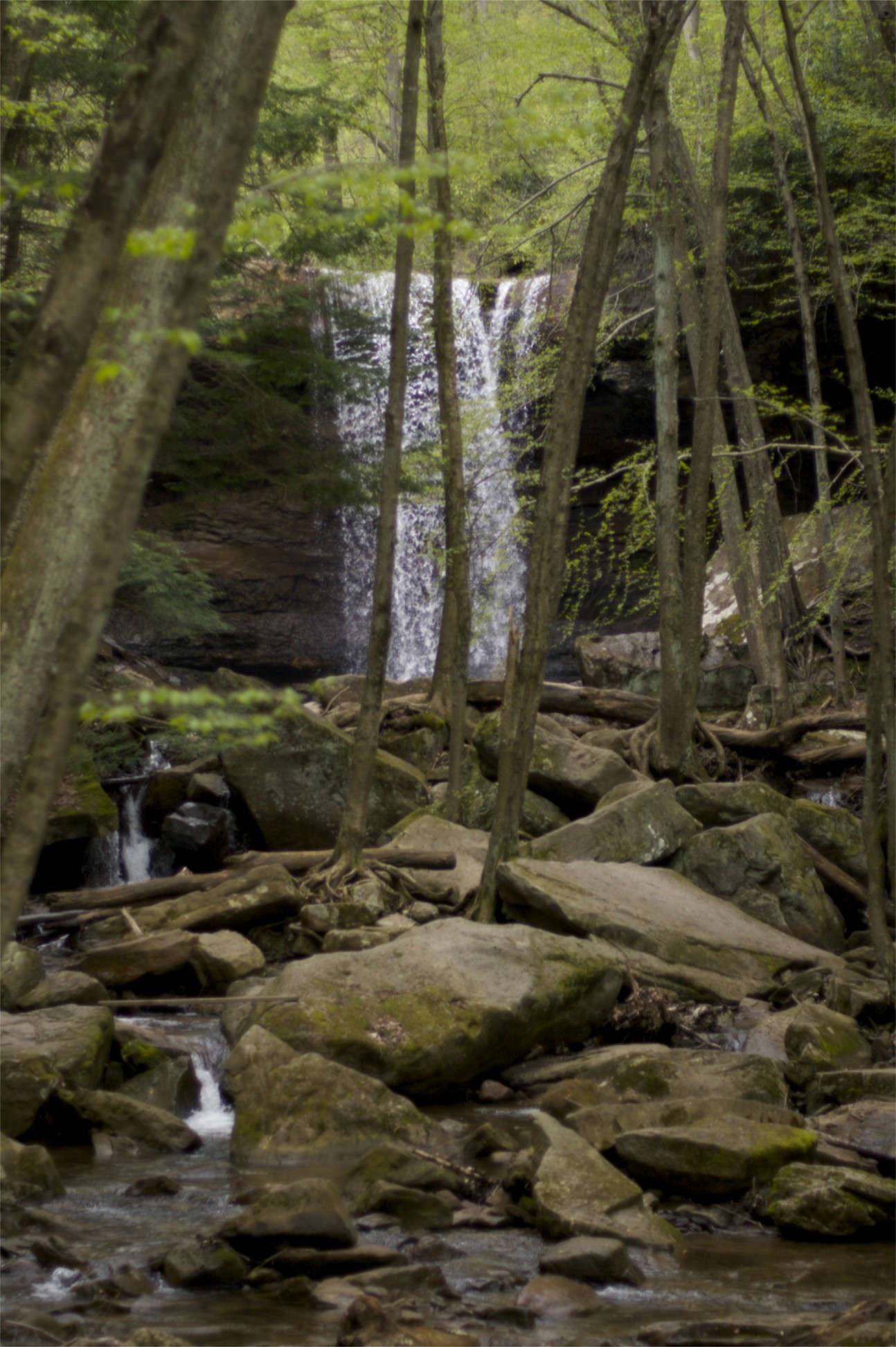 Ohiopyle State Park