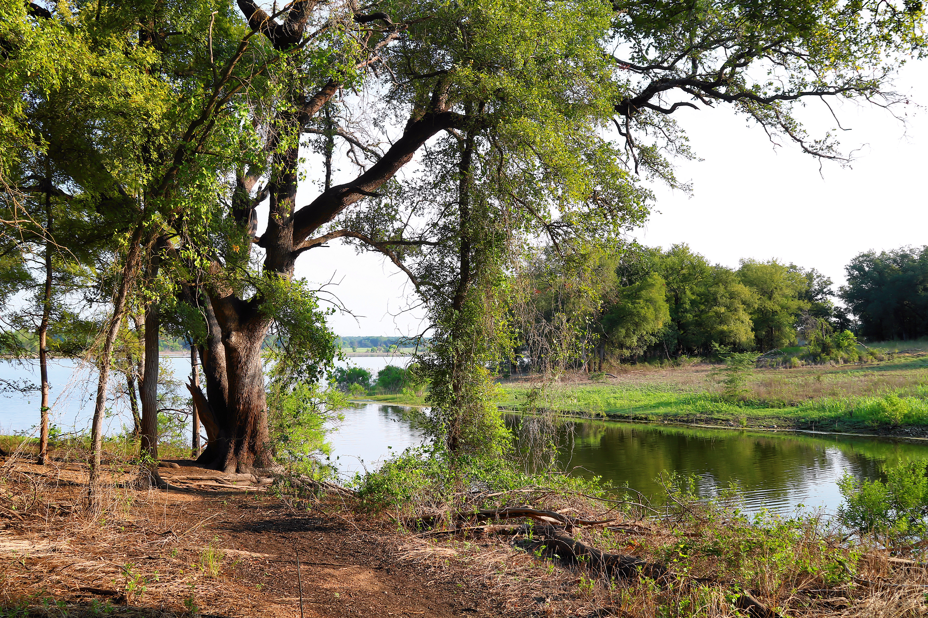 Lake Whitney State Park