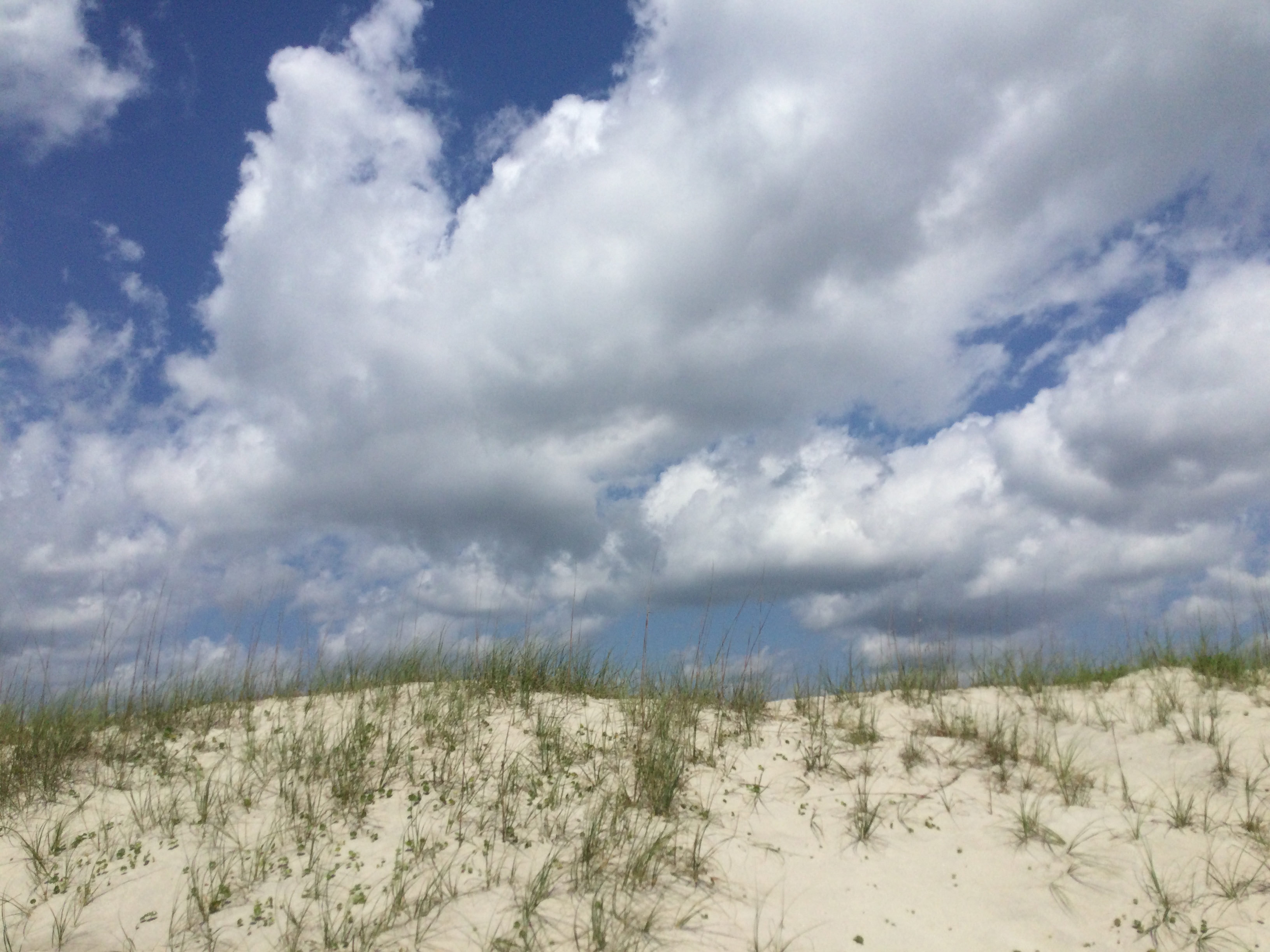 Fort Fisher State Recreation Area