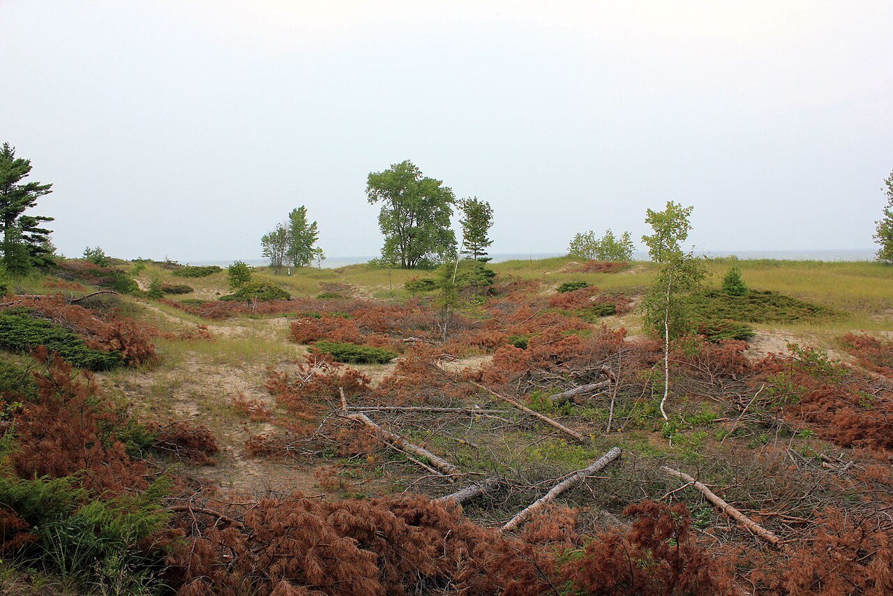Point Beach State Forest