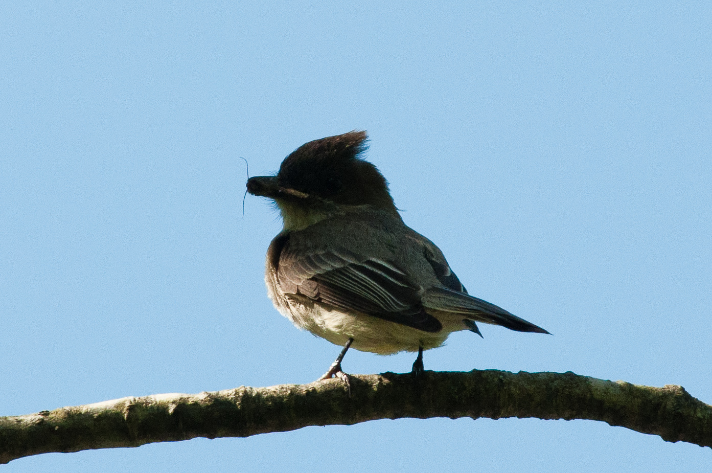 Wompatuck State Park