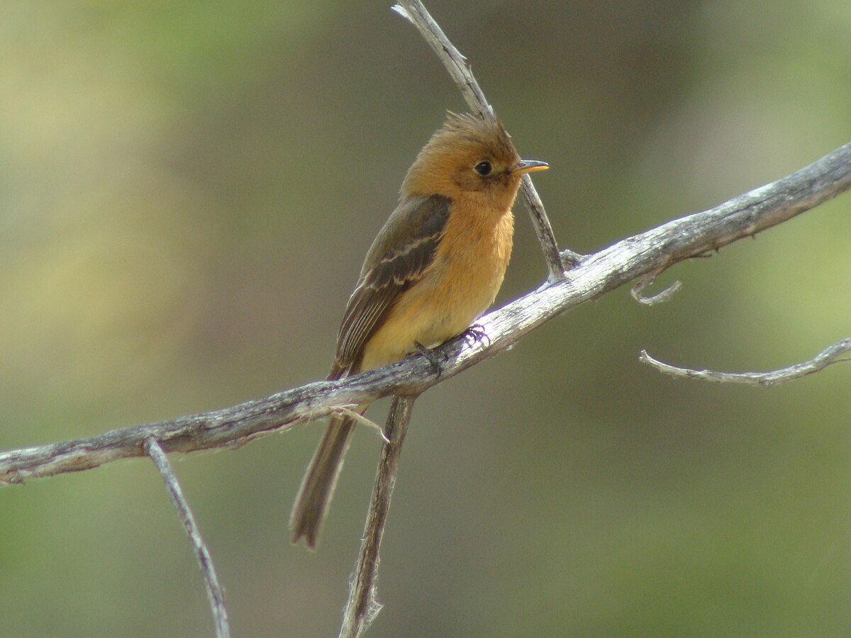 Herb Martyr Campground