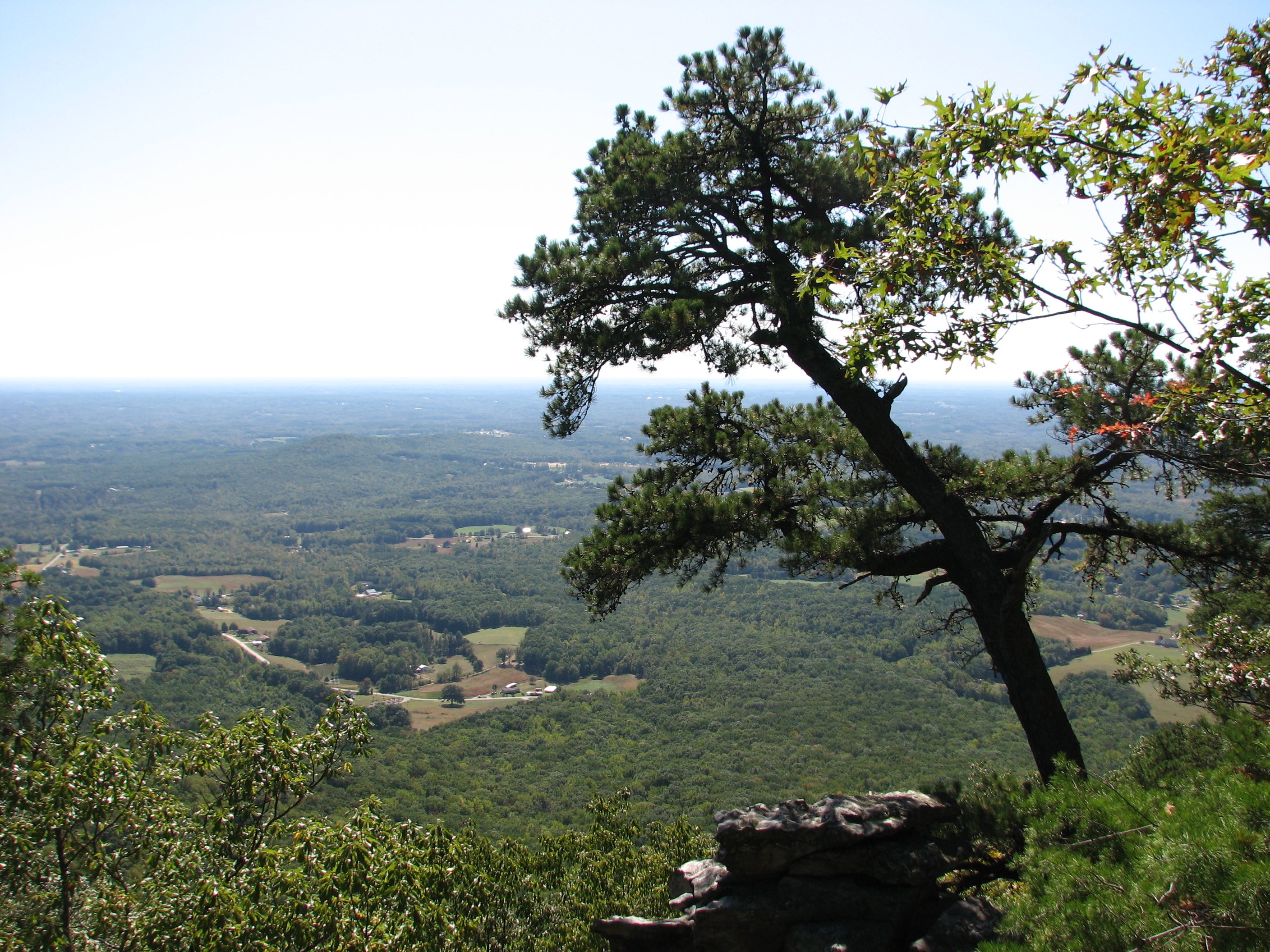 Pilot Mountain State Park
