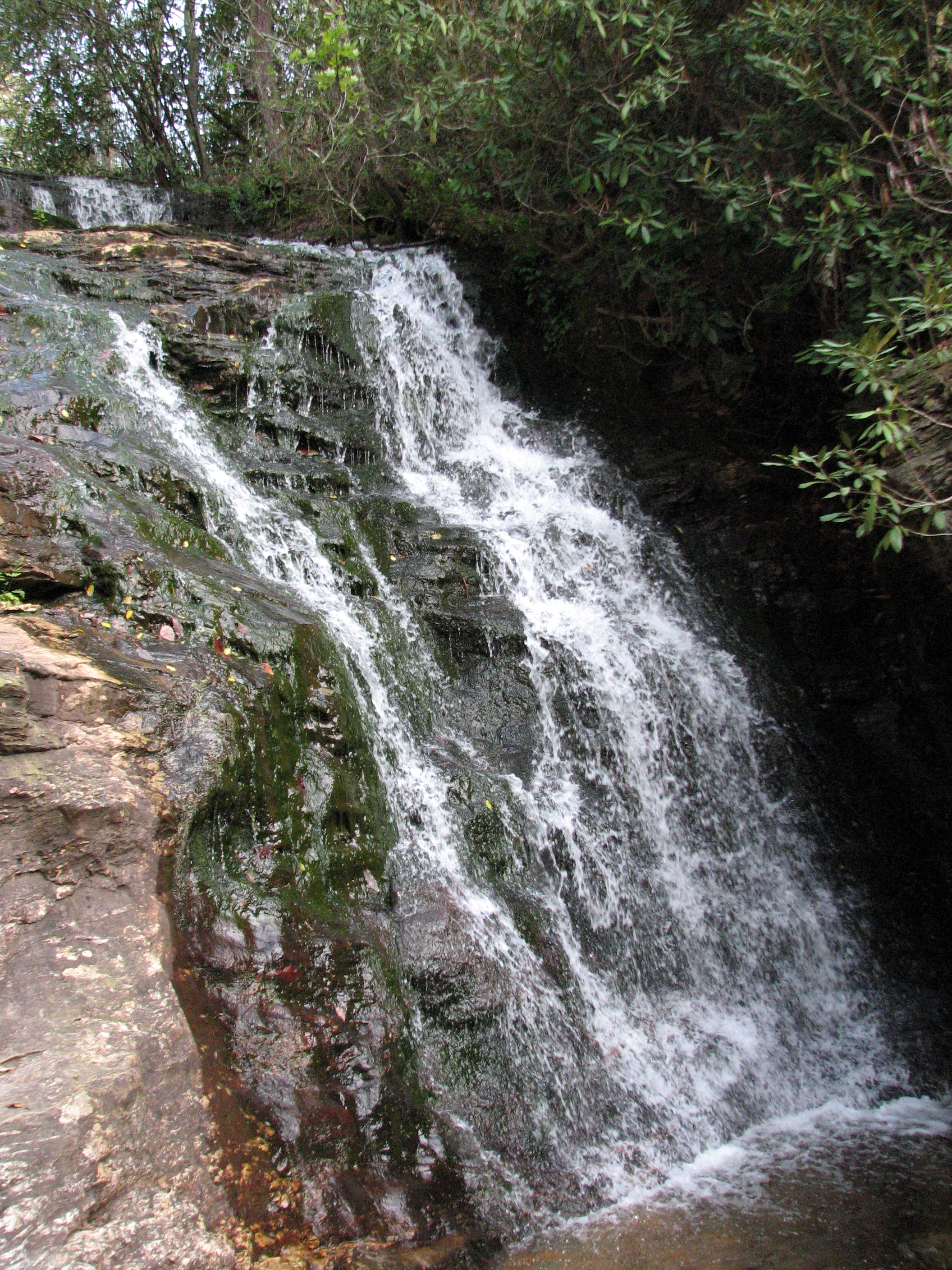 Wikimedia Commons