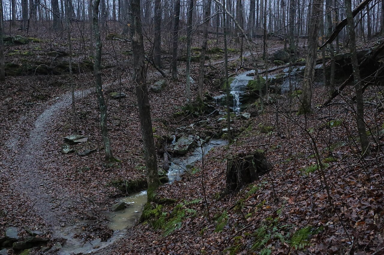 Wikimedia Commons