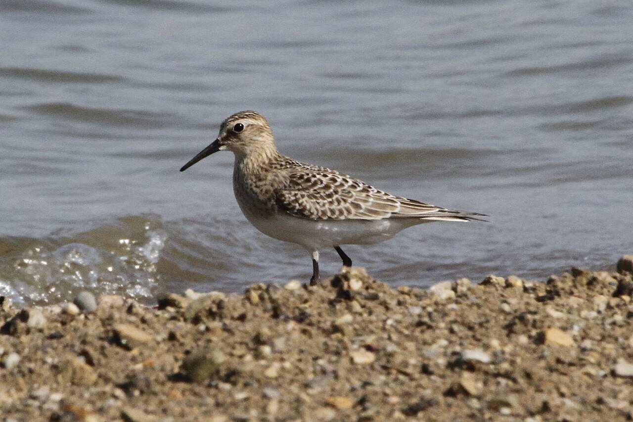 Deer Creek Group /Equestrian Campground
