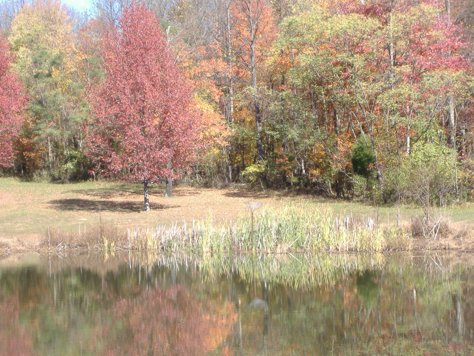 Obannon Woods State Park