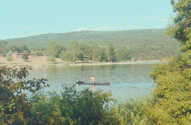Wikimedia Commons