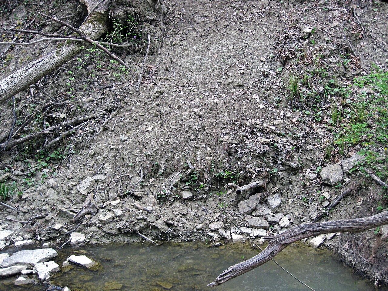 Caesar Creek Camp Loops A, B, C