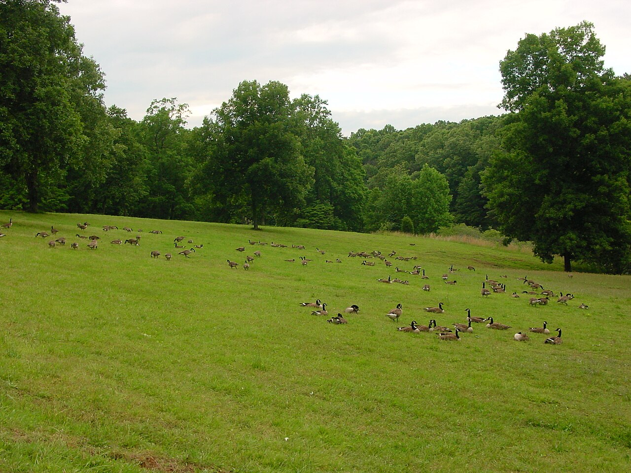 David Crockett State Park