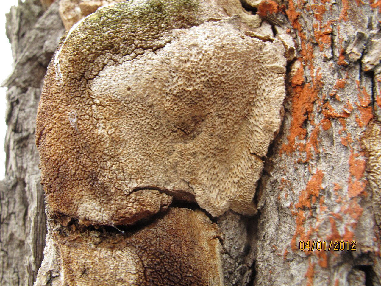 Beaver Creek Group Campground
