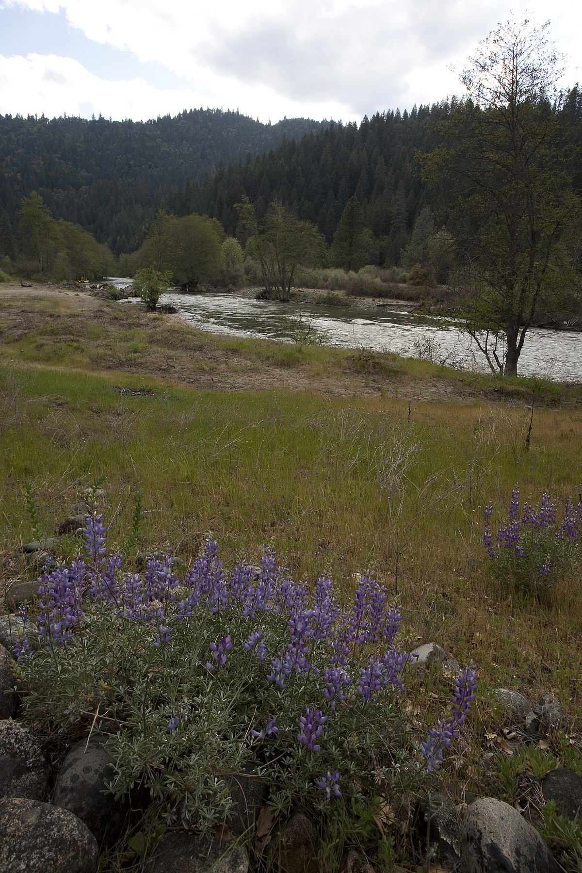 Trinity River Campground