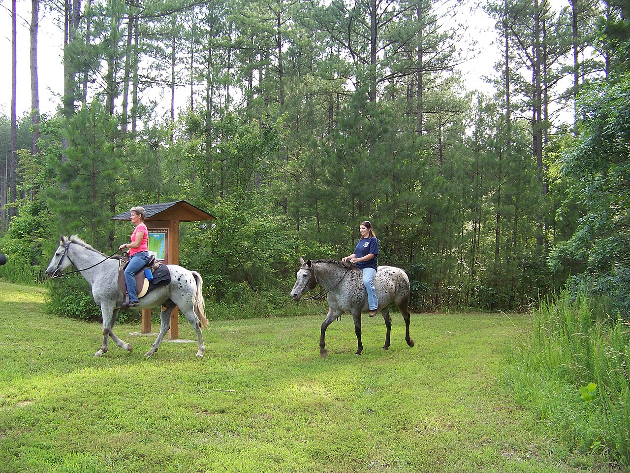 Staunton River Campground