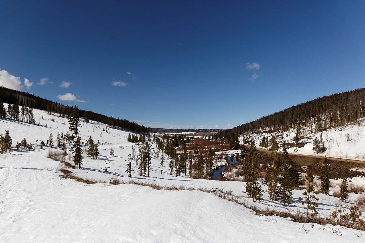 State Forest Campground