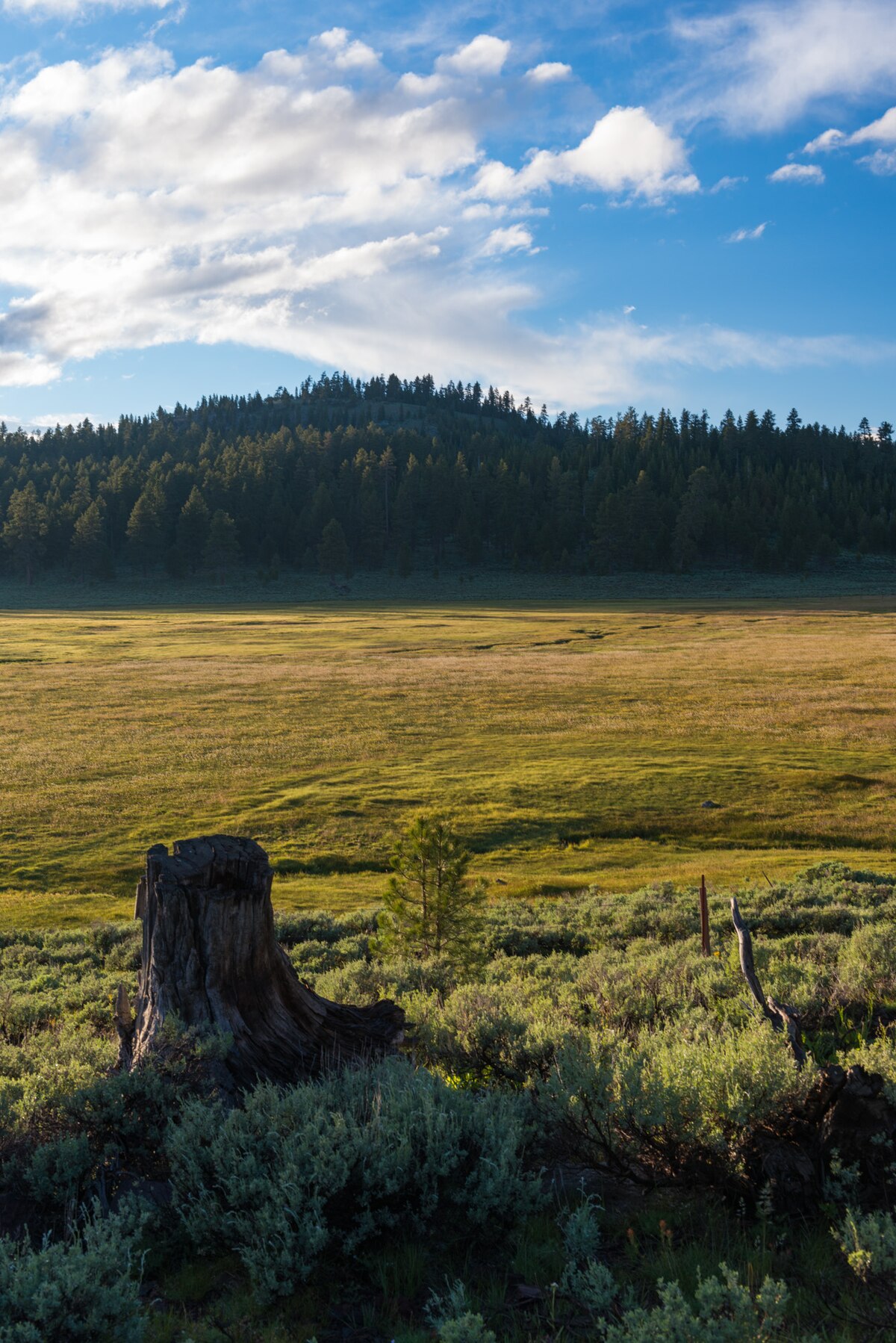 Mud Creek Campground