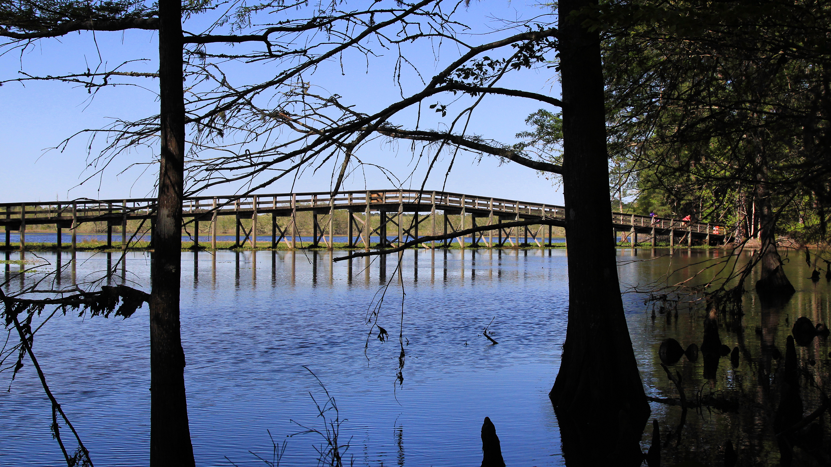Martin Dies Jr. State Park
