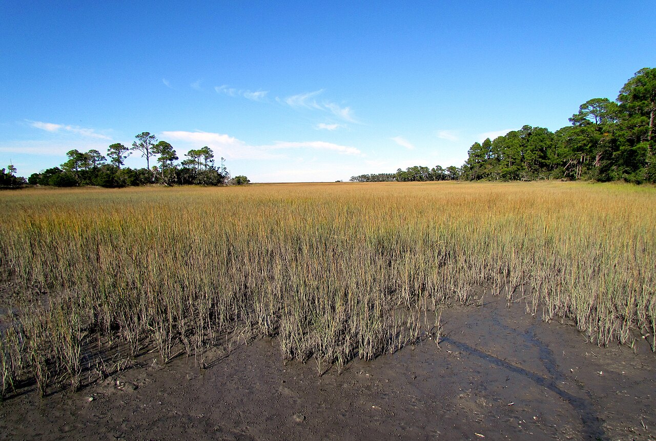 Hunting Island State Park