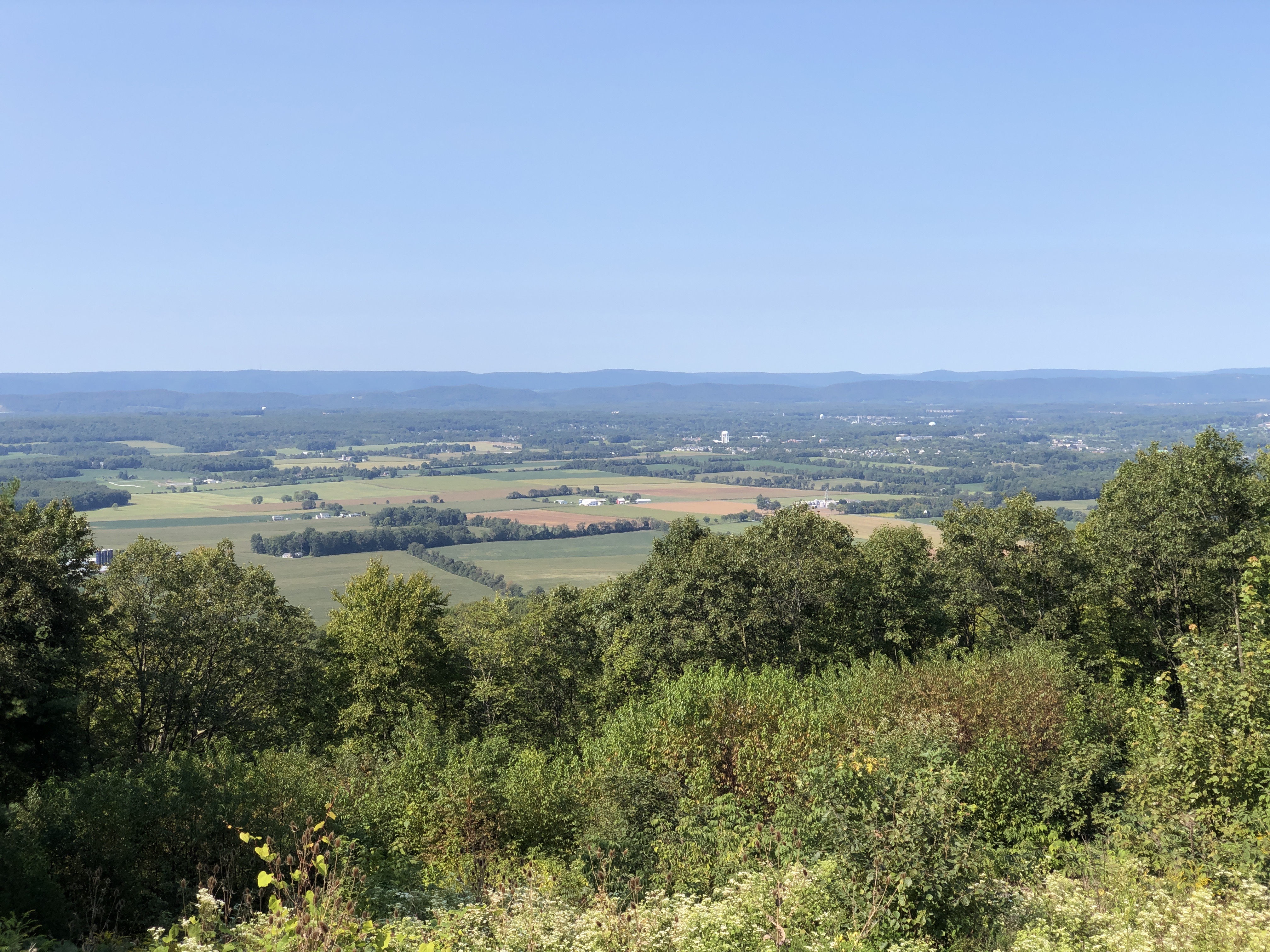 Rothrock State Forest