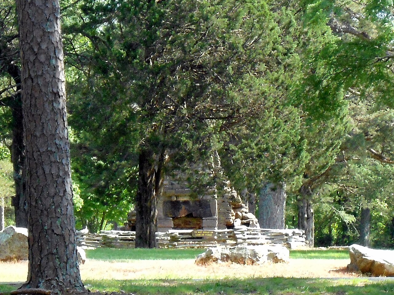 Wikimedia Commons