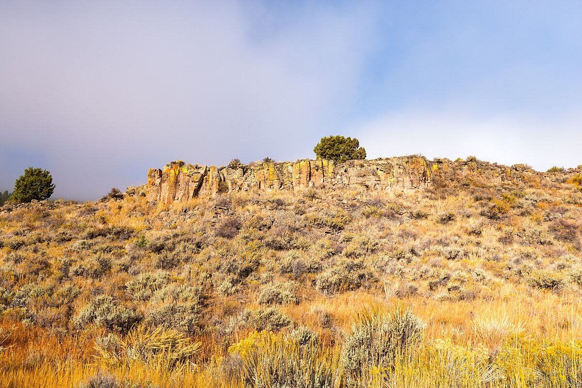 Dairy Point Campground
