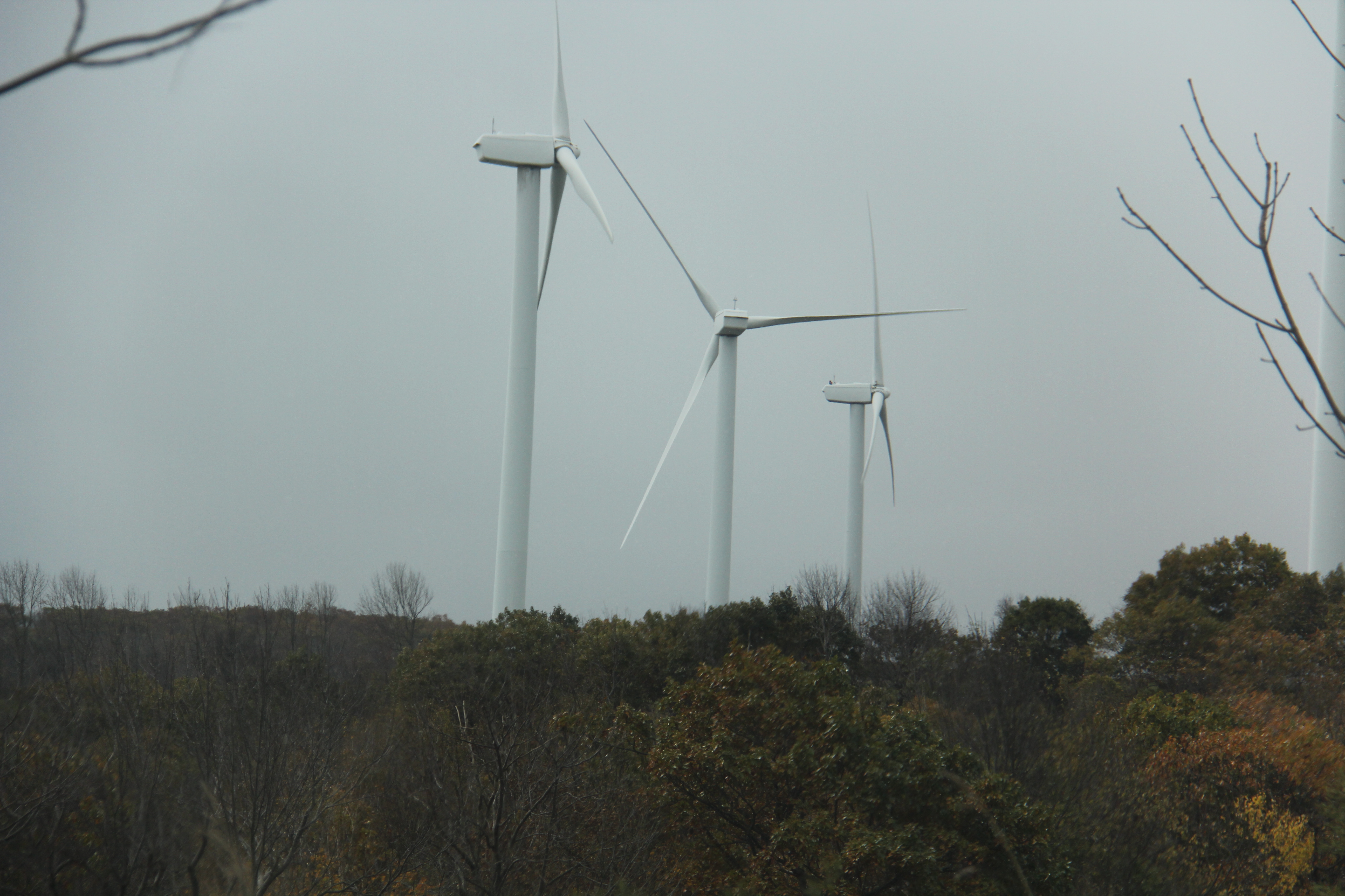 Laurel Ridge State Park