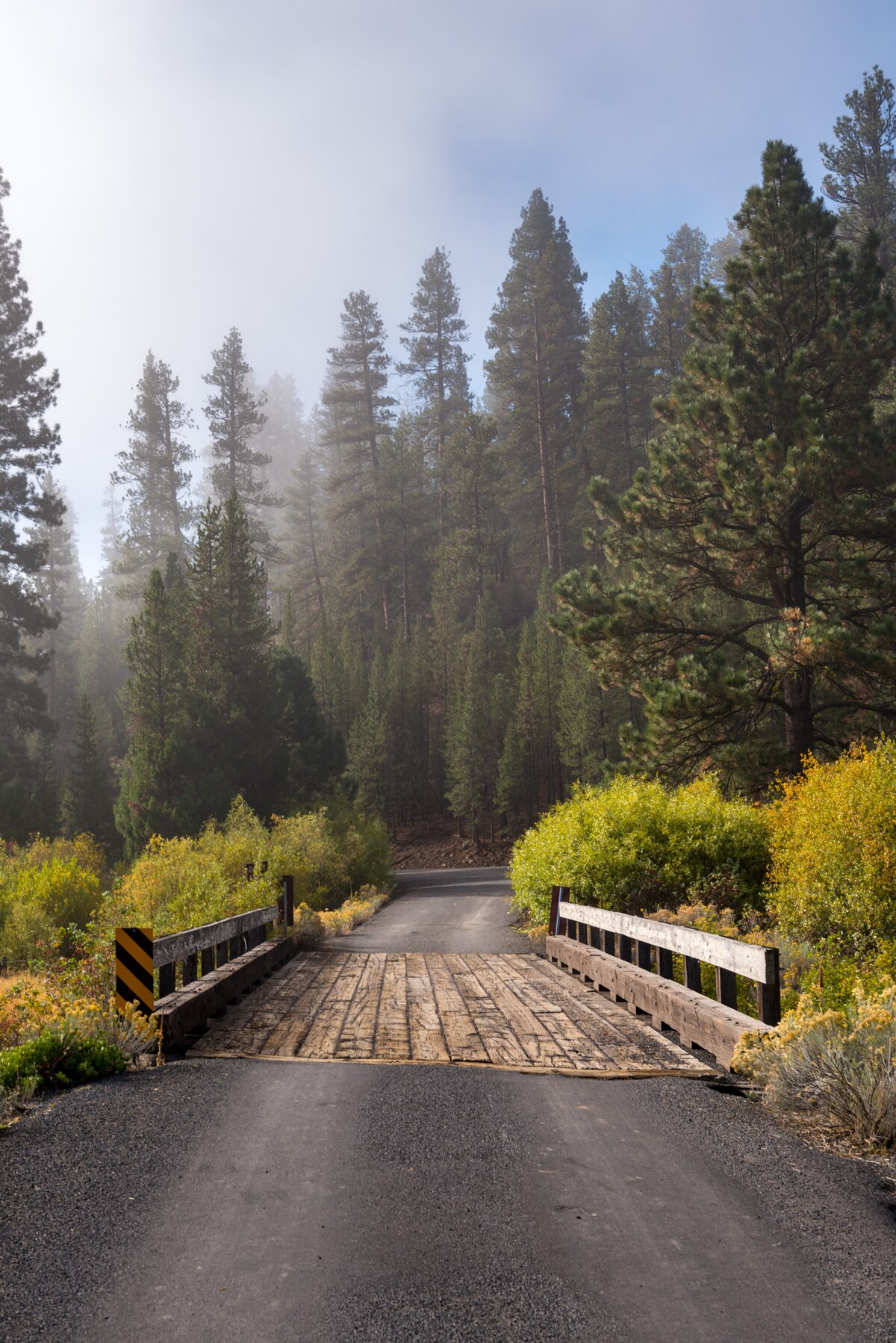 Dairy Point Campground