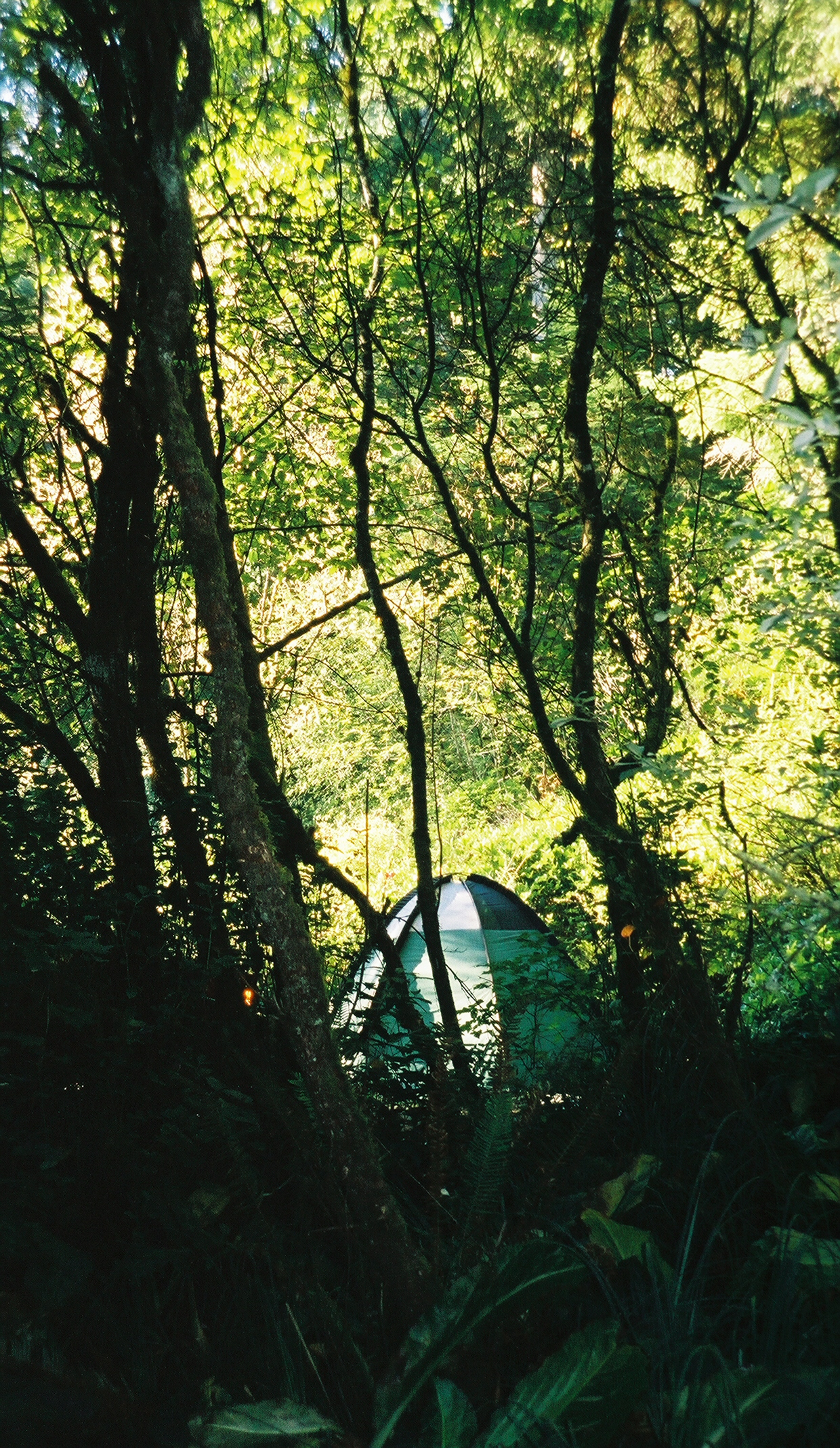 Wikimedia Commons