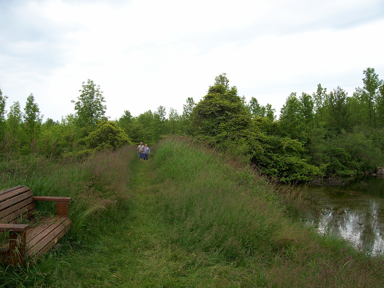 Wikimedia Commons
