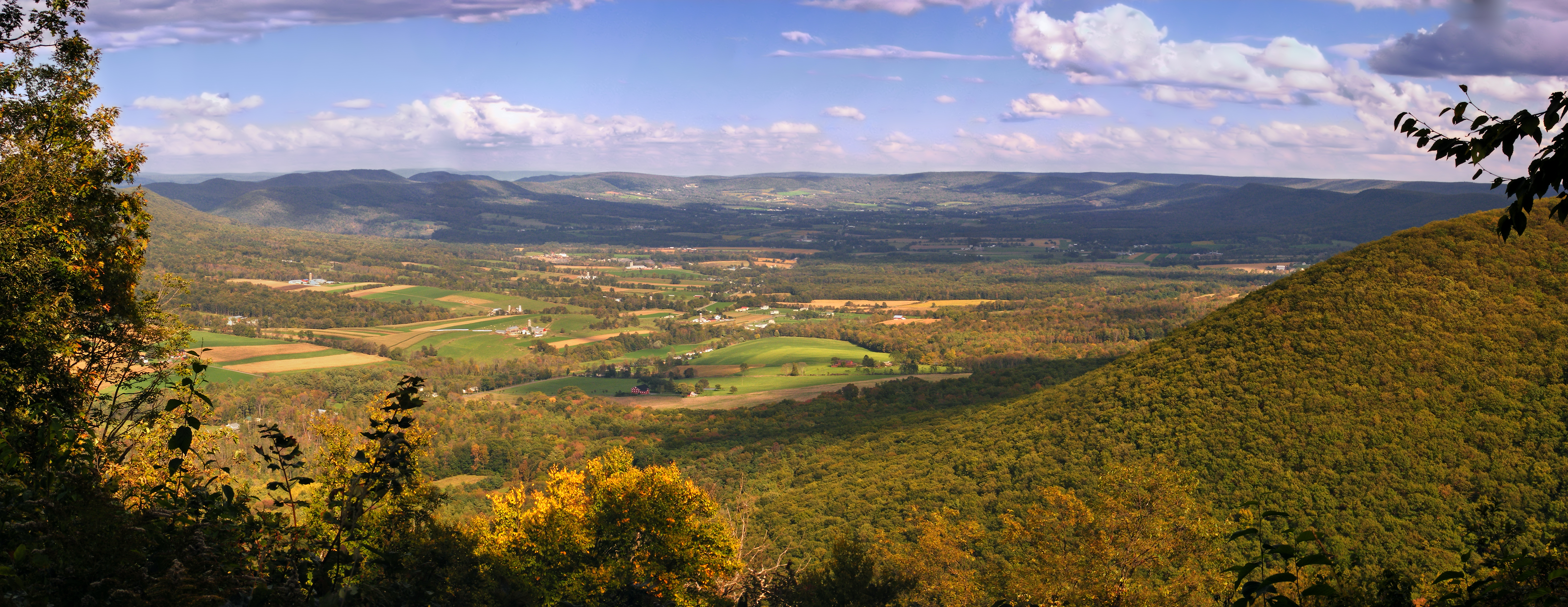 Tiadaghton State Forest