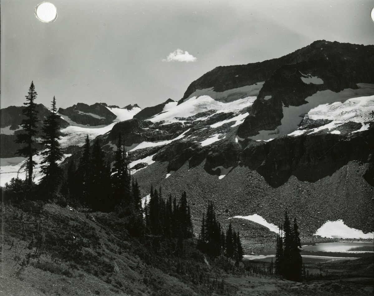 Wikimedia Commons