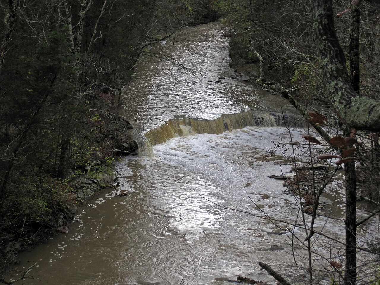 Caesar Creek Camp Loops A, B, C