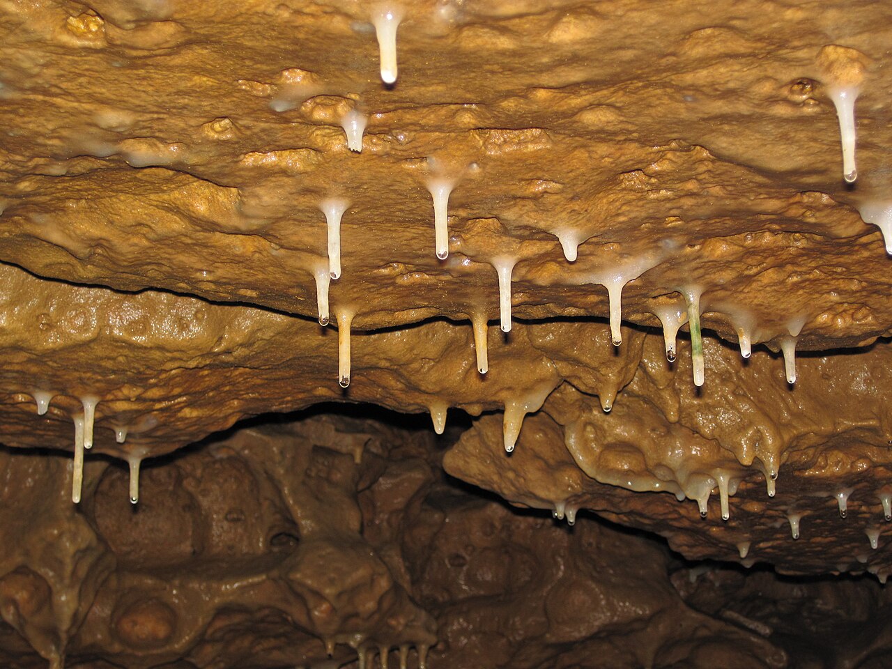 Wikimedia Commons