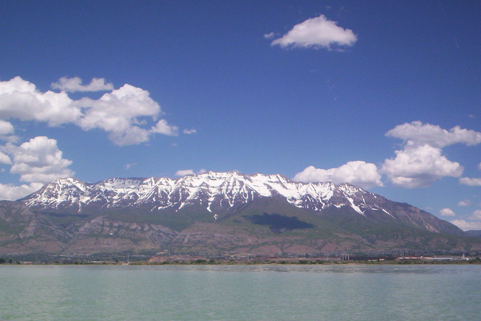 Wikimedia Commons