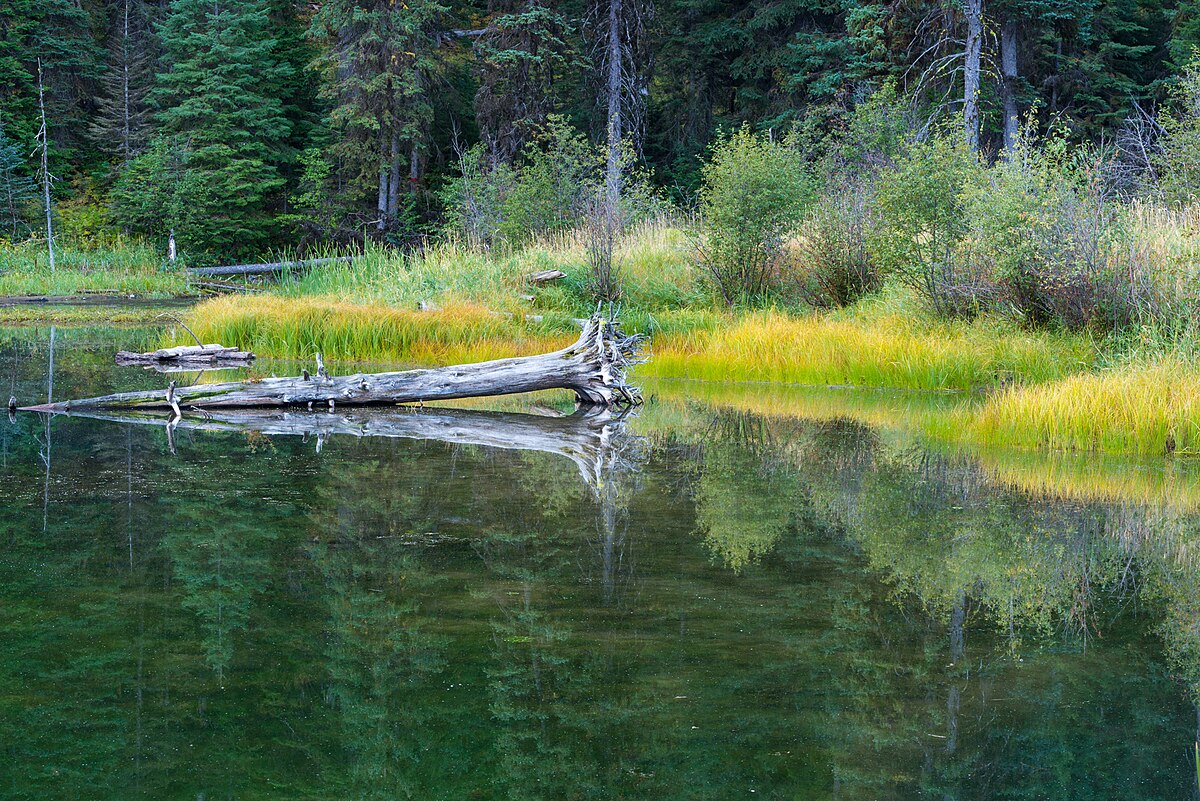 Trout Farm Campground