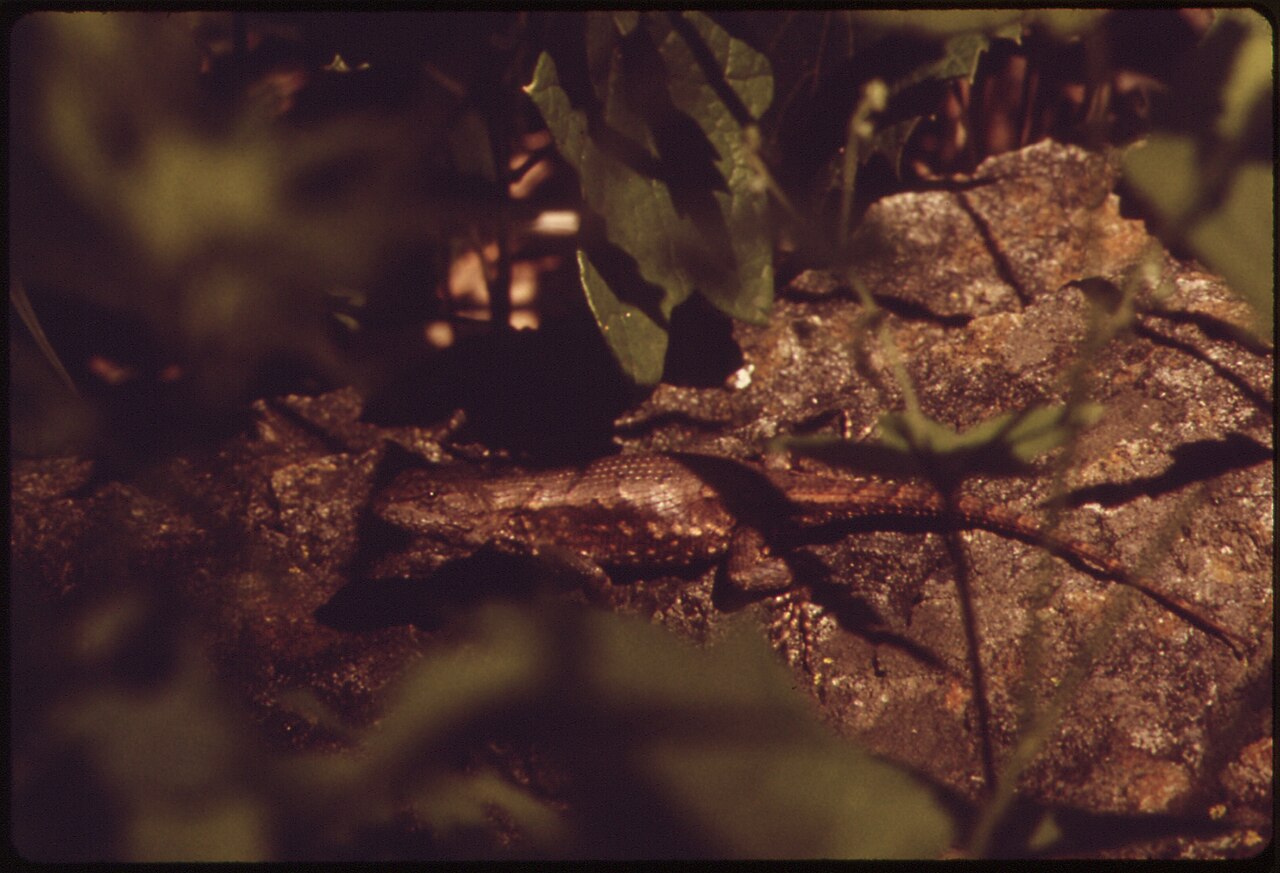 Special Use Campground