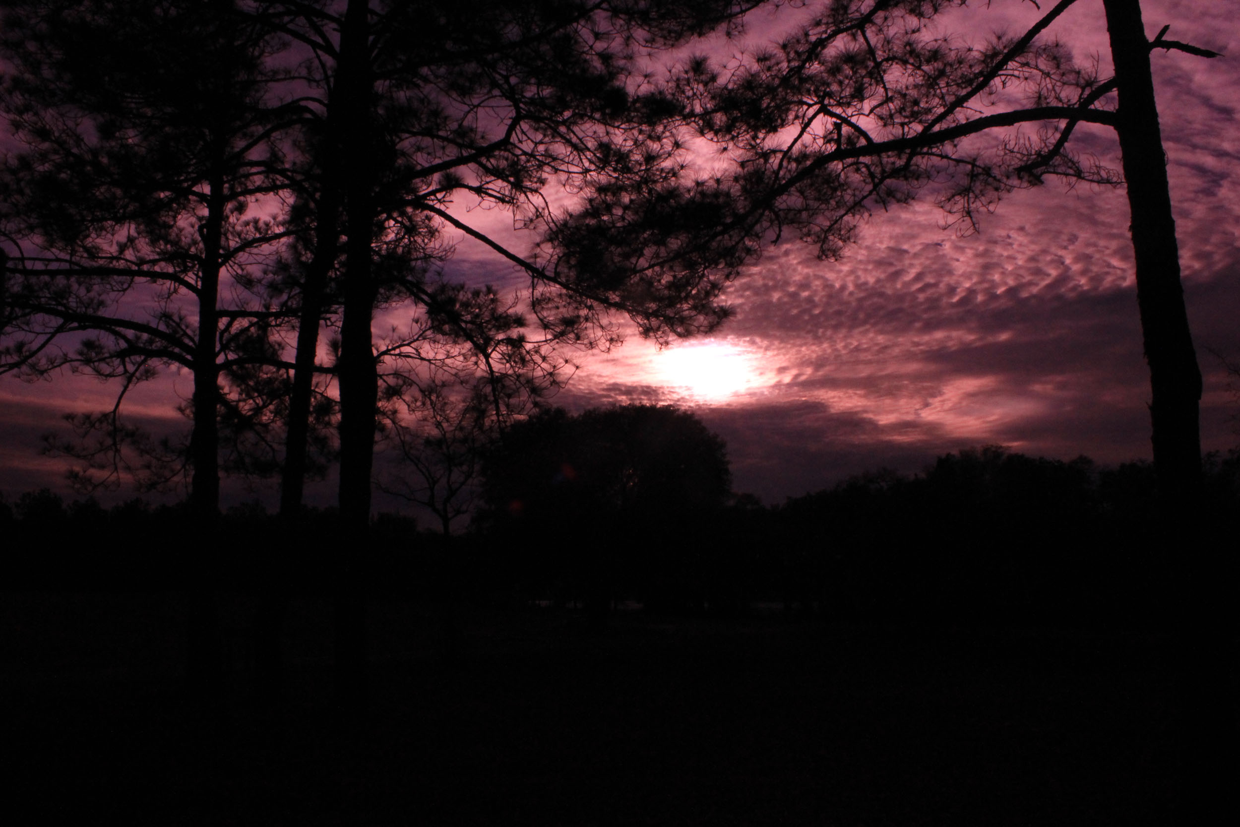 Reed Bingham State Park