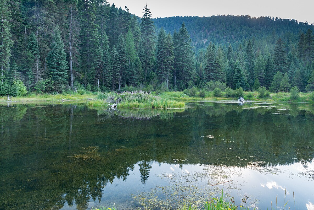 Trout Farm Campground