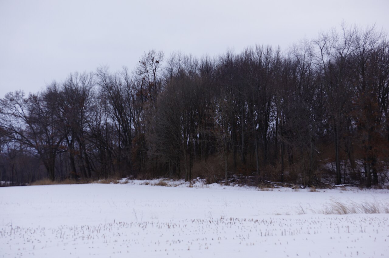 Franklin Creek State Natural Area Campground