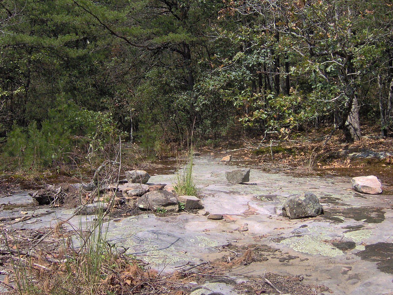 Cumberland Mountain State Park