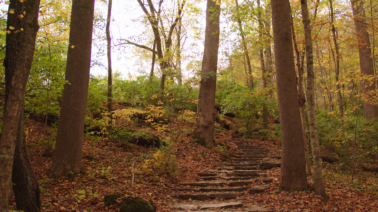 John Bryan Group Campground