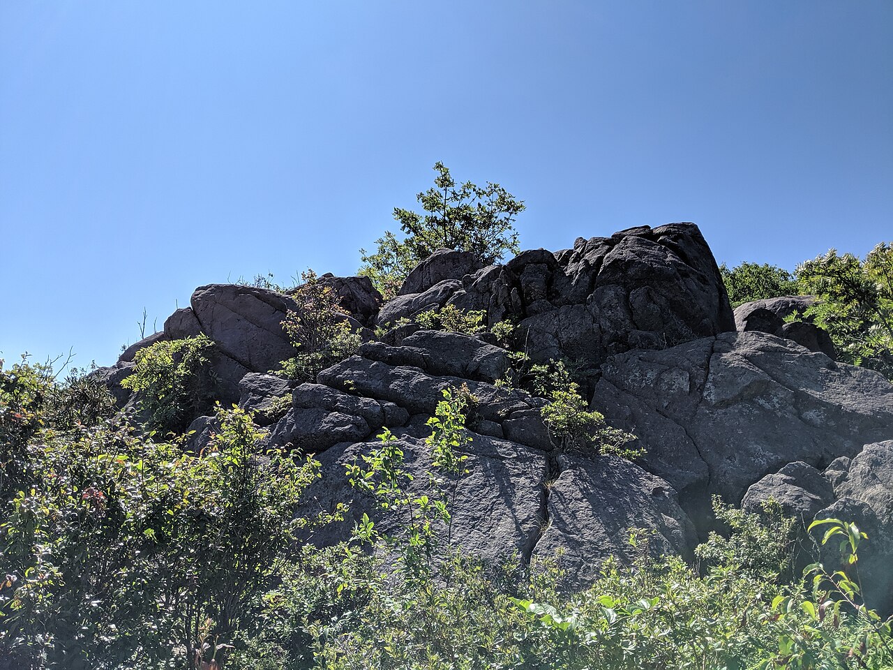 Chestnut Hollow Horse Campground
