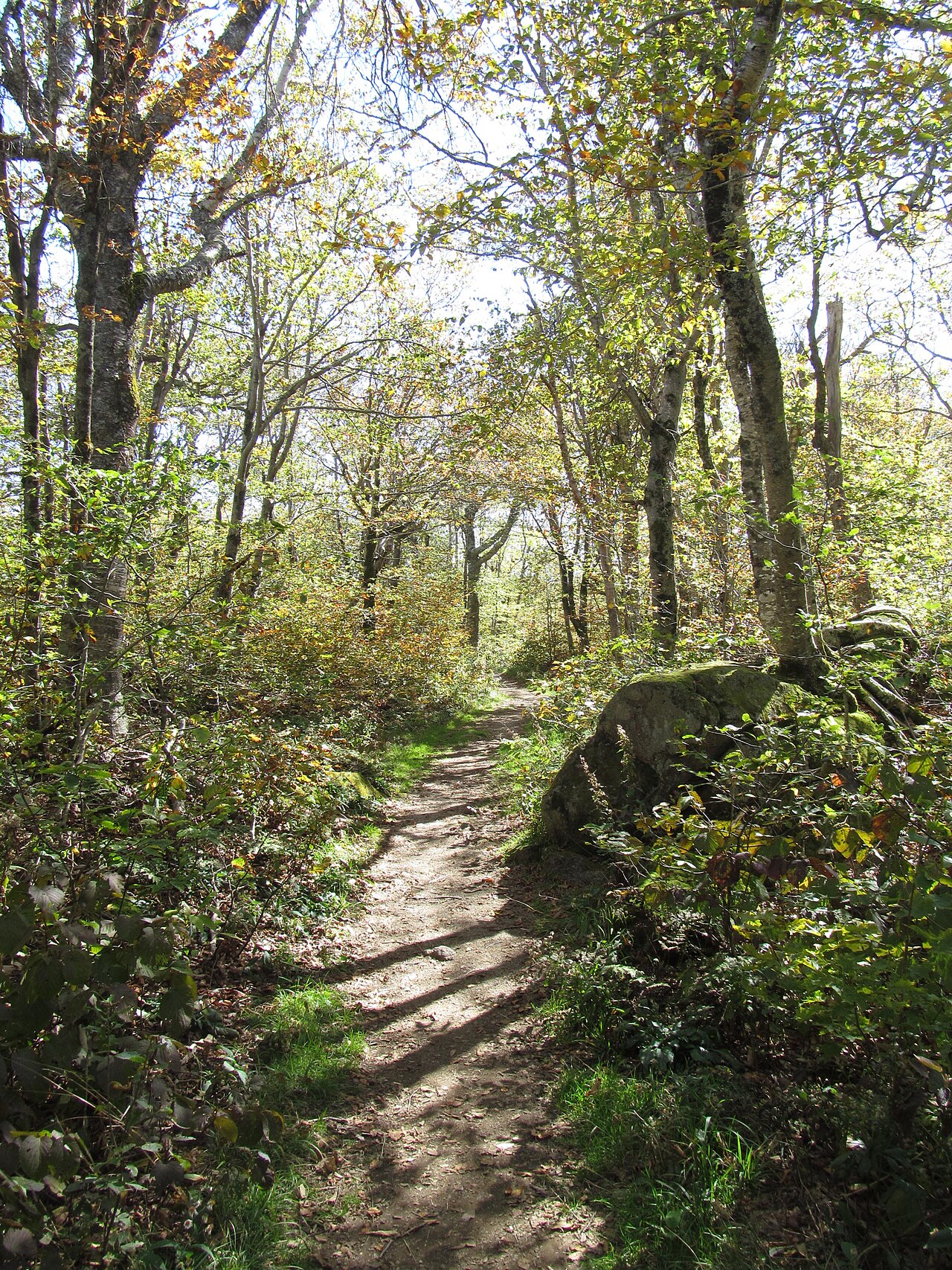 Mount Ascutney State Park