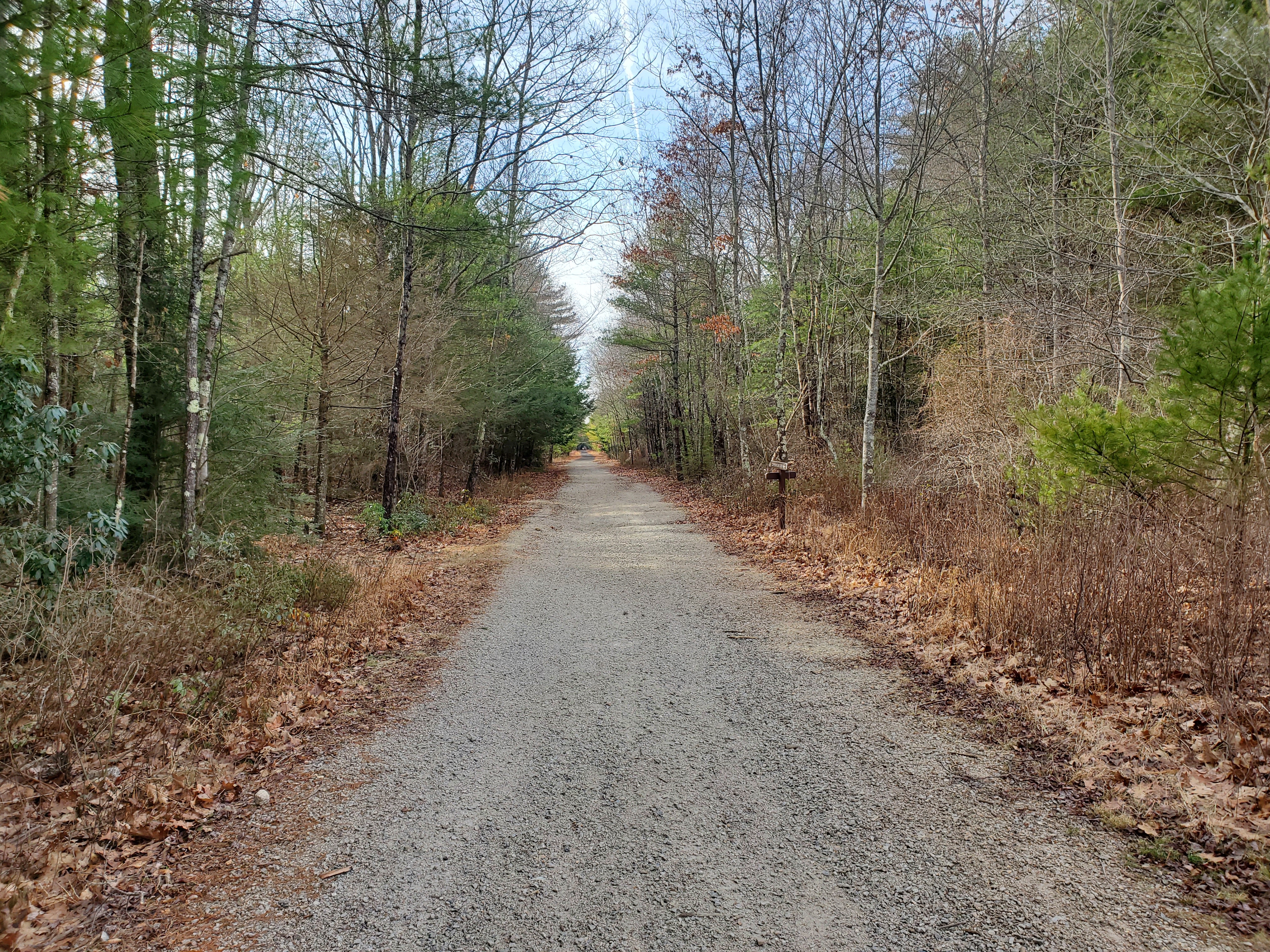 Douglas State Forest
