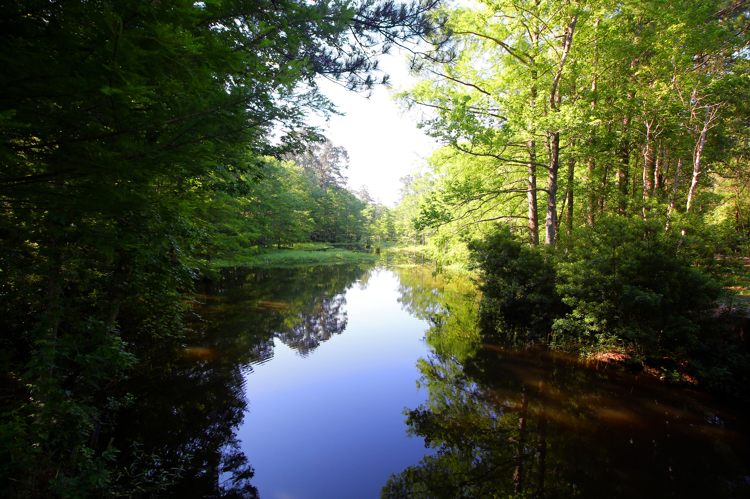 Martin Dies Jr. State Park
