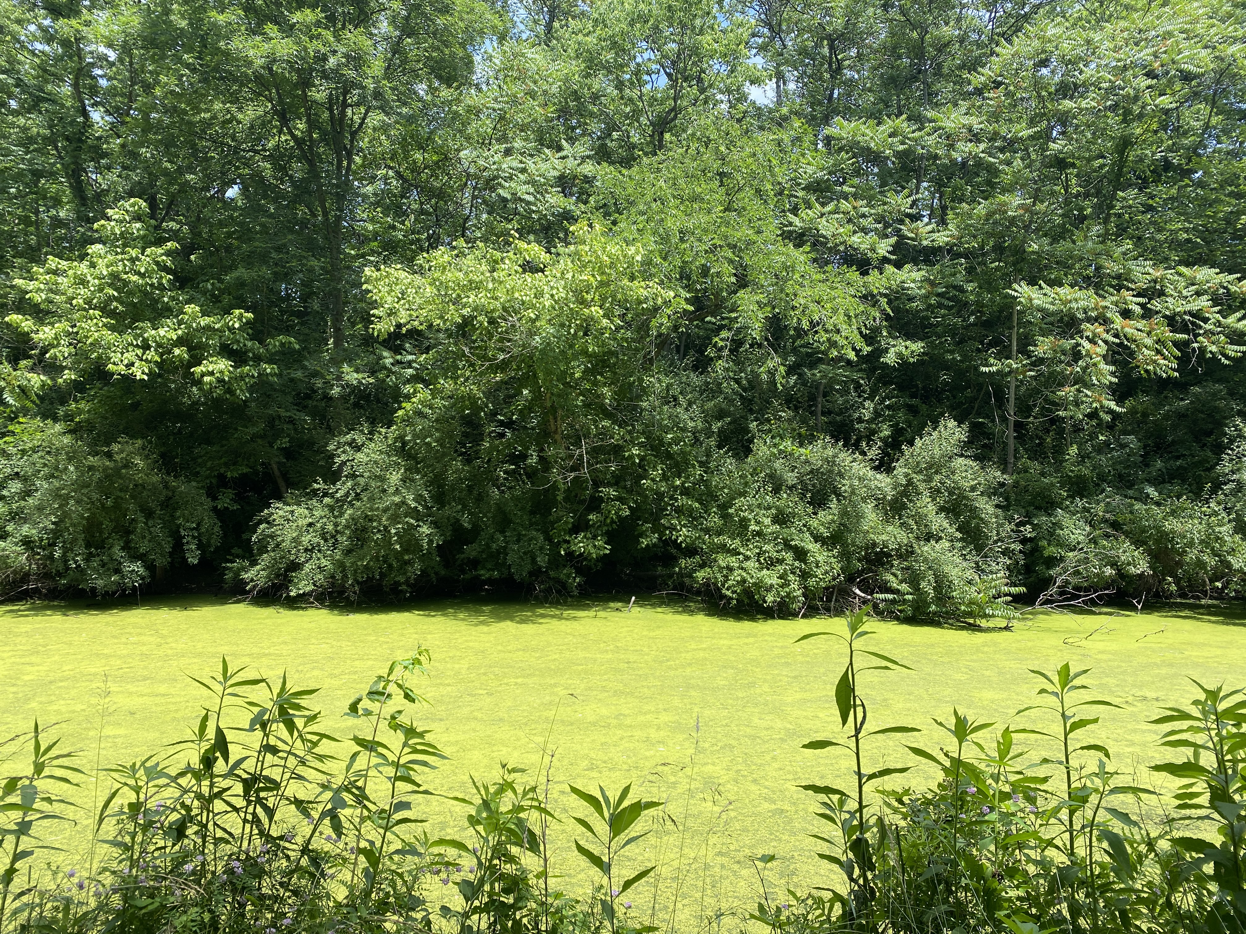 Fowlers Hollow State Park