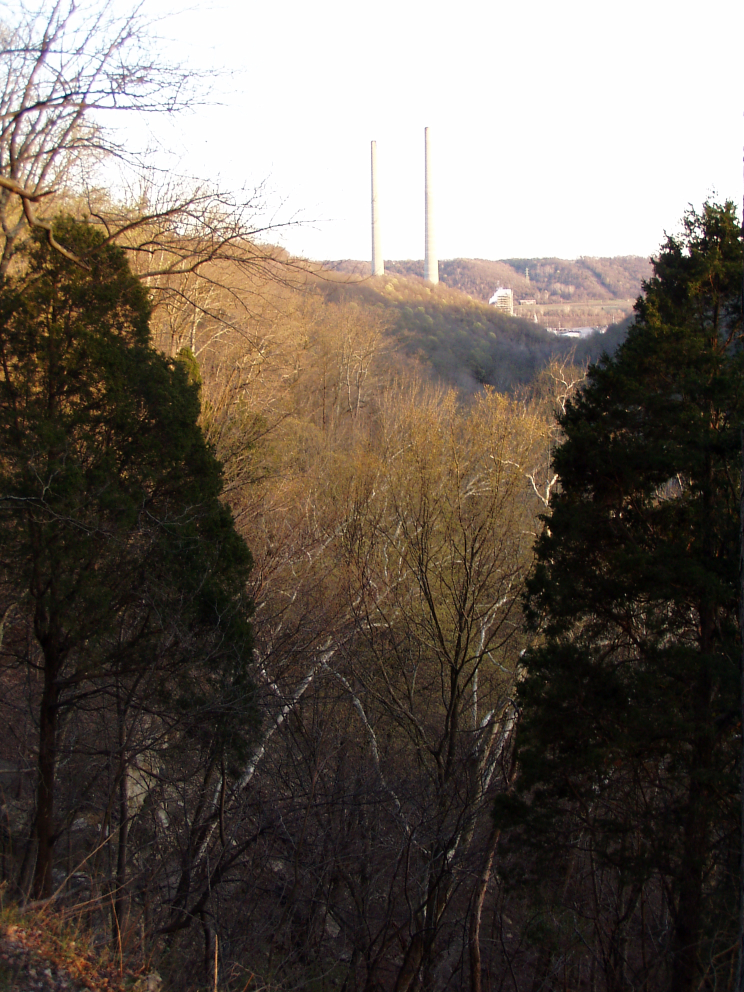 Wikimedia Commons