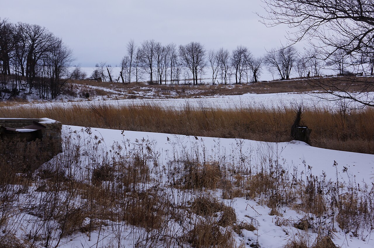 Franklin Creek State Natural Area Campground