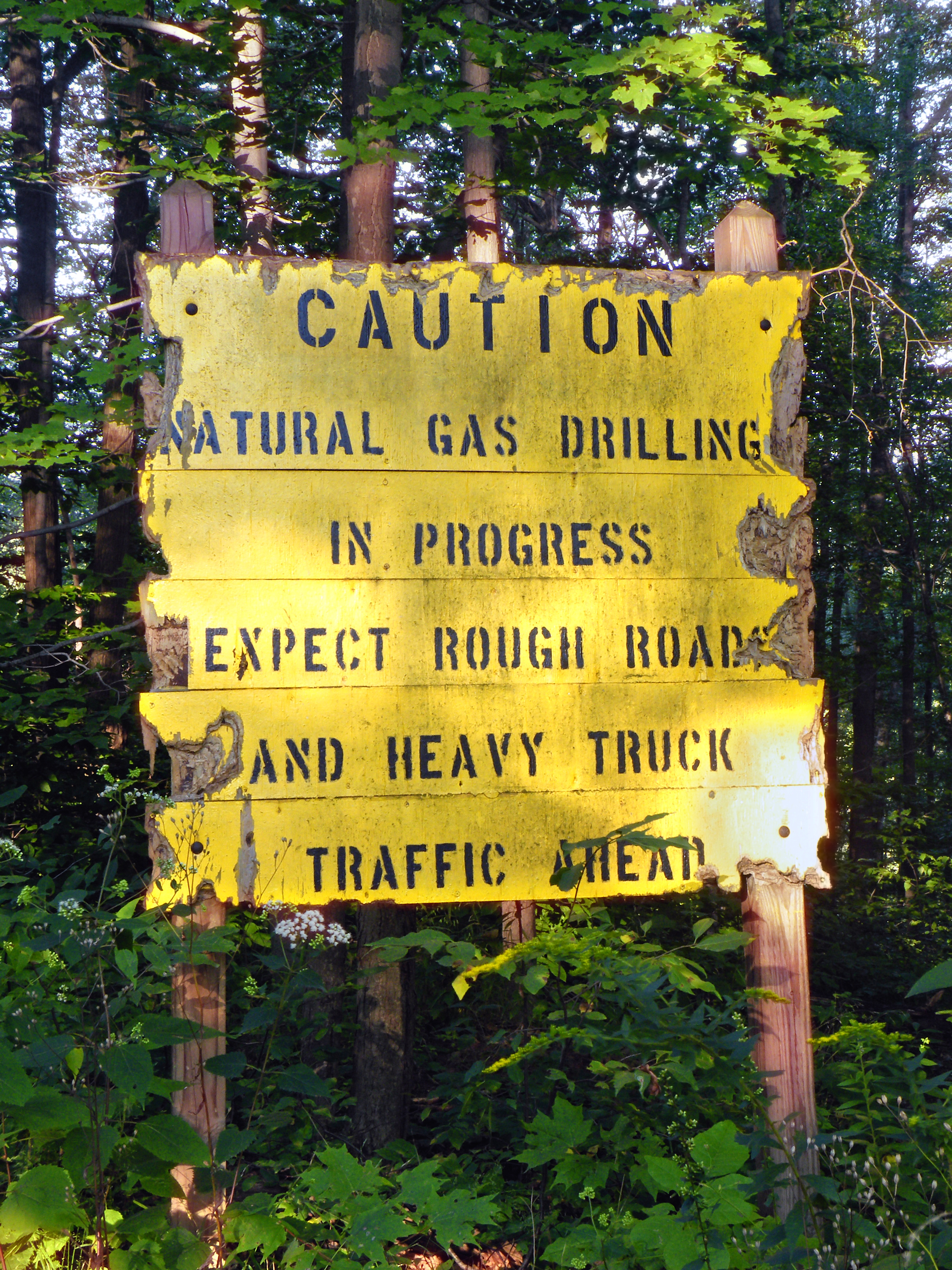 Susquehannock State Forest