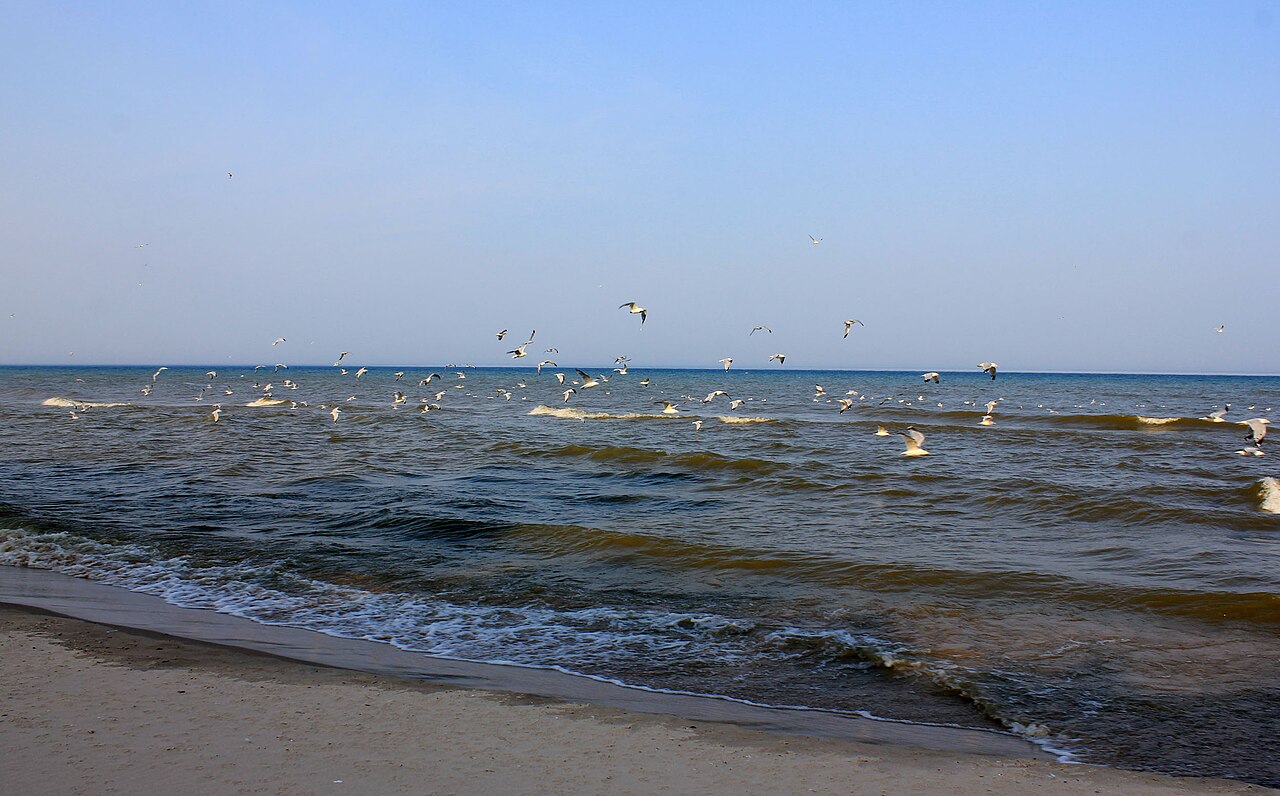 Point Beach State Forest